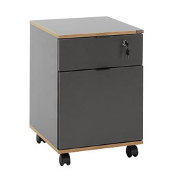 Hanah Home Rkm-311-Ax-1 Armario Multiusos Antracita y Roble